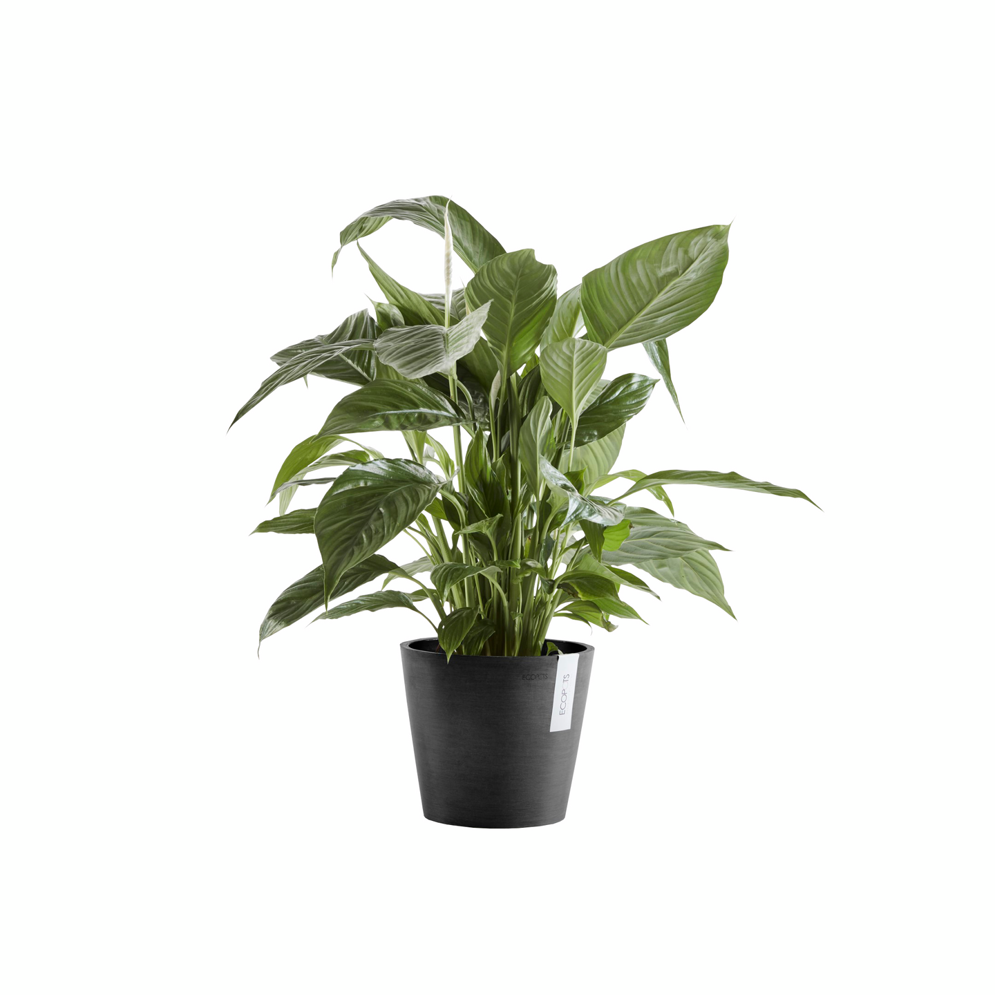 Ruukku Ecopots Amsterdam 25cm tummanharmaa